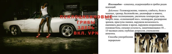 MESCALINE Армянск
