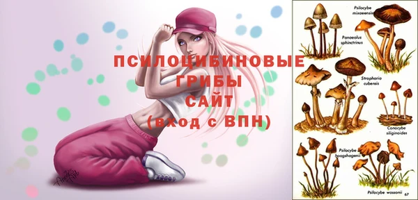 MESCALINE Армянск